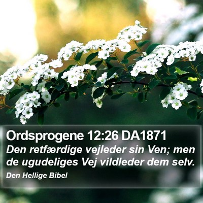 Ordsprogene 12:26 DA1871 Bible Verse Image