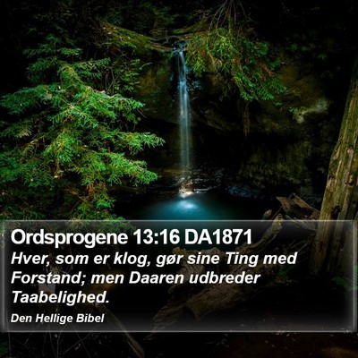 Ordsprogene 13:16 DA1871 Bible Verse Image