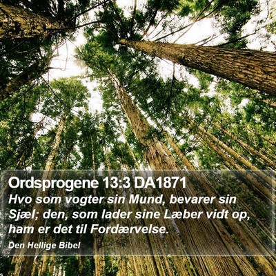 Ordsprogene 13:3 DA1871 Bible Verse Image