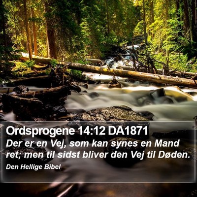 Ordsprogene 14:12 DA1871 Bible Verse Image
