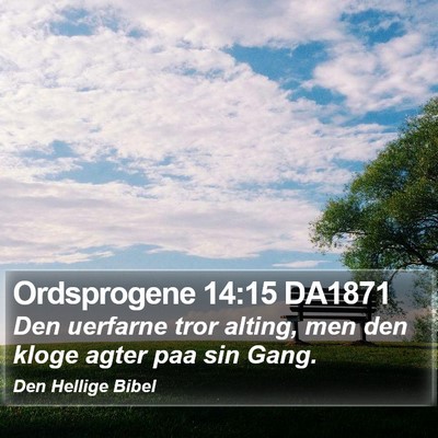 Ordsprogene 14:15 DA1871 Bible Verse Image