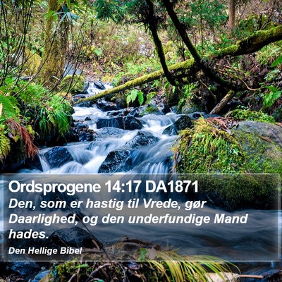 Ordsprogene 14:17 DA1871 Bible Verse Image