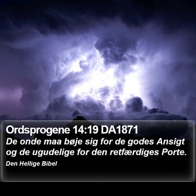 Ordsprogene 14:19 DA1871 Bible Verse Image