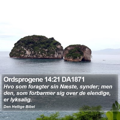 Ordsprogene 14:21 DA1871 Bible Verse Image