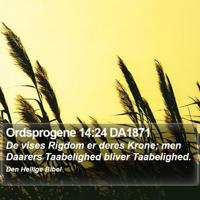 Ordsprogene 14:24 DA1871 Bible Verse Image