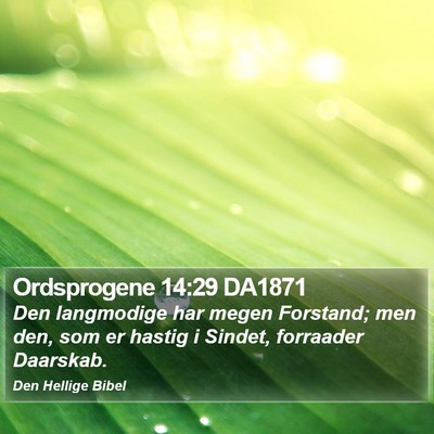 Ordsprogene 14:29 DA1871 Bible Verse Image
