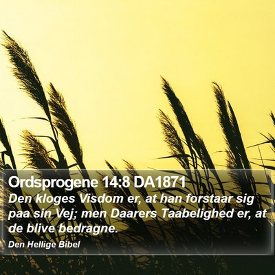 Ordsprogene 14:8 DA1871 Bible Verse Image