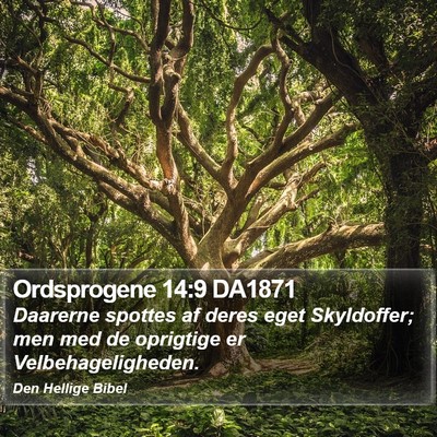 Ordsprogene 14:9 DA1871 Bible Verse Image