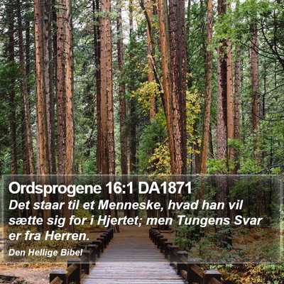 Ordsprogene 16:1 DA1871 Bible Verse Image