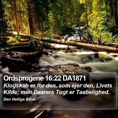 Ordsprogene 16:22 DA1871 Bible Verse Image