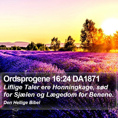 Ordsprogene 16:24 DA1871 Bible Verse Image