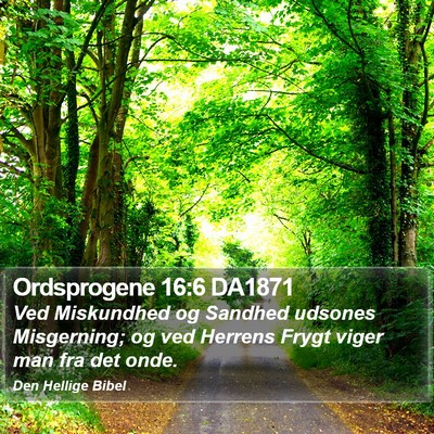 Ordsprogene 16:6 DA1871 Bible Verse Image