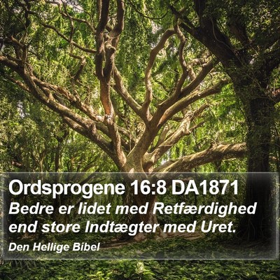 Ordsprogene 16:8 DA1871 Bible Verse Image