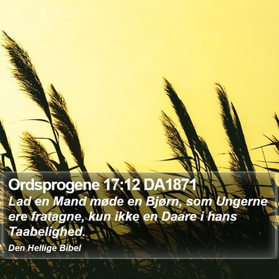 Ordsprogene 17:12 DA1871 Bible Verse Image
