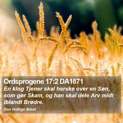 Ordsprogene 17:2 DA1871 Bible Verse Image