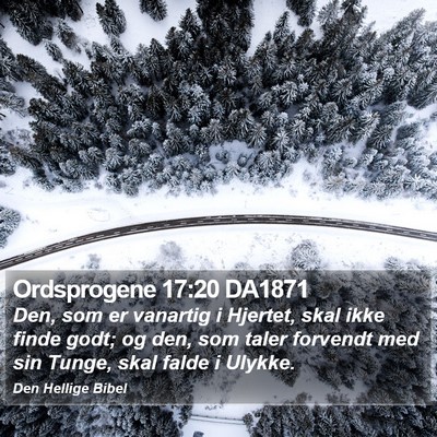 Ordsprogene 17:20 DA1871 Bible Verse Image