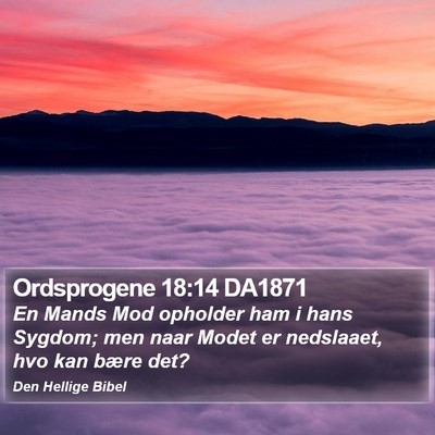 Ordsprogene 18:14 DA1871 Bible Verse Image