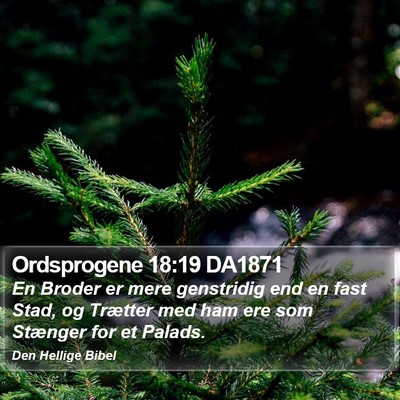 Ordsprogene 18:19 DA1871 Bible Verse Image
