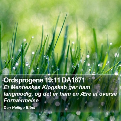 Ordsprogene 19:11 DA1871 Bible Verse Image