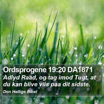 Ordsprogene 19:20 DA1871 Bible Verse Image
