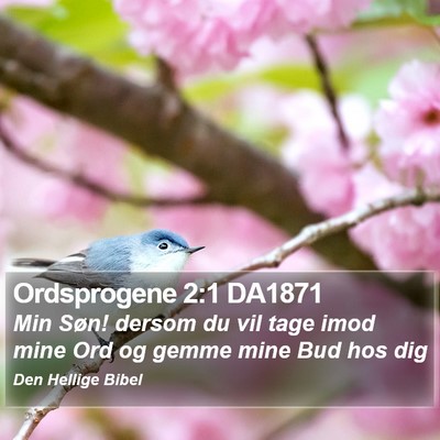 Ordsprogene 2:1 DA1871 Bible Verse Image