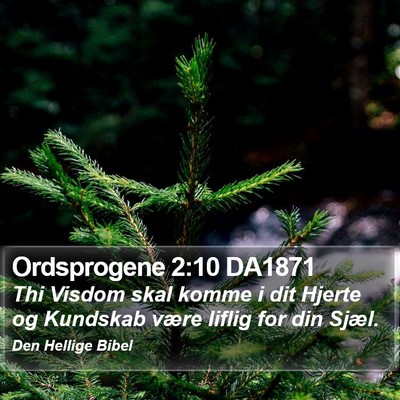 Ordsprogene 2:10 DA1871 Bible Verse Image