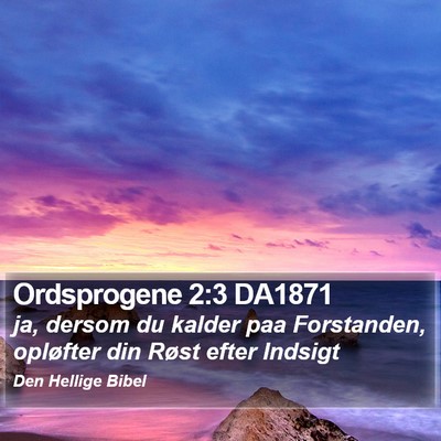 Ordsprogene 2:3 DA1871 Bible Verse Image