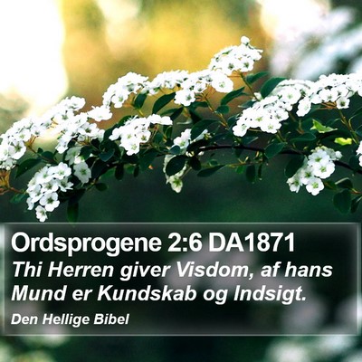 Ordsprogene 2:6 DA1871 Bible Verse Image