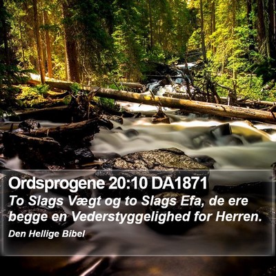Ordsprogene 20:10 DA1871 Bible Verse Image