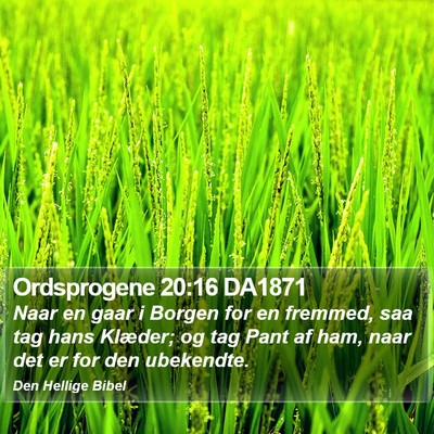 Ordsprogene 20:16 DA1871 Bible Verse Image