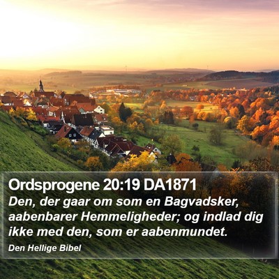Ordsprogene 20:19 DA1871 Bible Verse Image