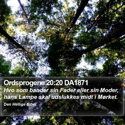 Ordsprogene 20:20 DA1871 Bible Verse Image