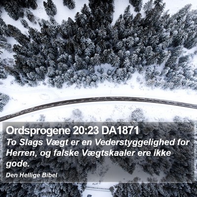 Ordsprogene 20:23 DA1871 Bible Verse Image