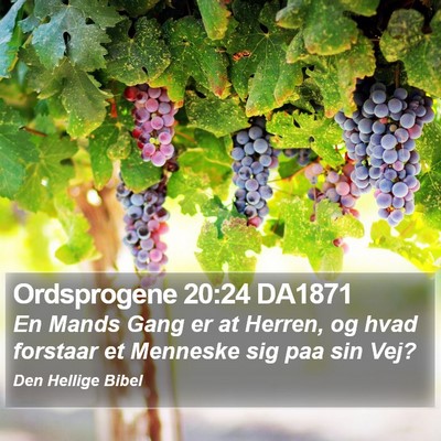 Ordsprogene 20:24 DA1871 Bible Verse Image