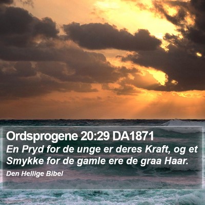 Ordsprogene 20:29 DA1871 Bible Verse Image