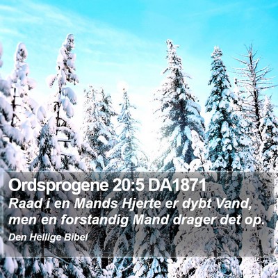 Ordsprogene 20:5 DA1871 Bible Verse Image