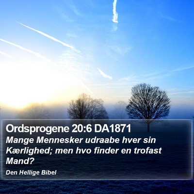 Ordsprogene 20:6 DA1871 Bible Verse Image