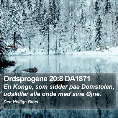 Ordsprogene 20:8 DA1871 Bible Verse Image