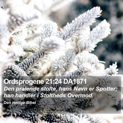 Ordsprogene 21:24 DA1871 Bible Verse Image
