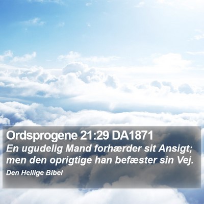 Ordsprogene 21:29 DA1871 Bible Verse Image