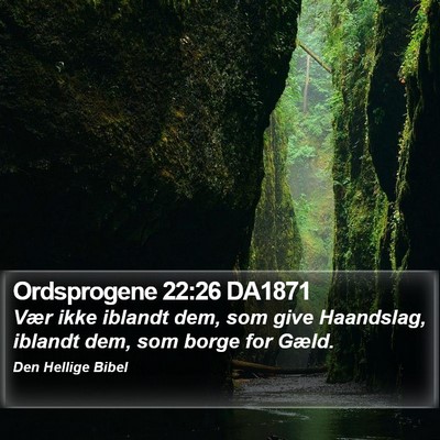 Ordsprogene 22:26 DA1871 Bible Verse Image