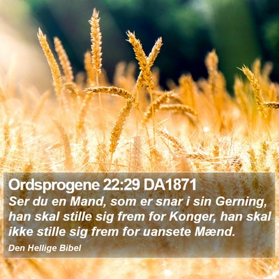 Ordsprogene 22:29 DA1871 Bible Verse Image