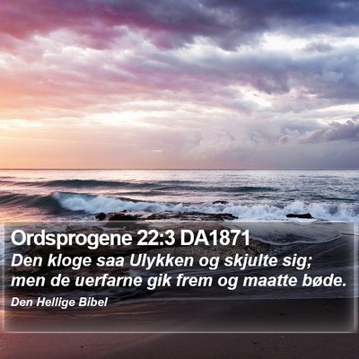 Ordsprogene 22:3 DA1871 Bible Verse Image