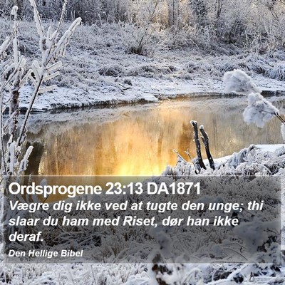Ordsprogene 23:13 DA1871 Bible Verse Image