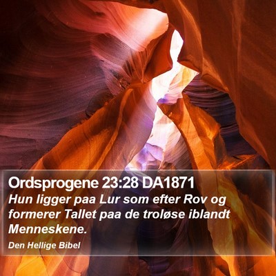 Ordsprogene 23:28 DA1871 Bible Verse Image