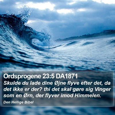 Ordsprogene 23:5 DA1871 Bible Verse Image