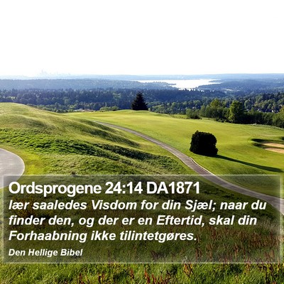 Ordsprogene 24:14 DA1871 Bible Verse Image