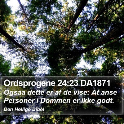 Ordsprogene 24:23 DA1871 Bible Verse Image