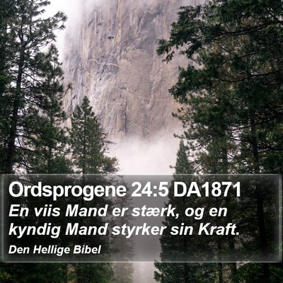 Ordsprogene 24:5 DA1871 Bible Verse Image
