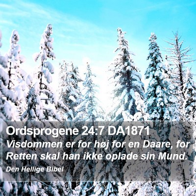 Ordsprogene 24:7 DA1871 Bible Verse Image